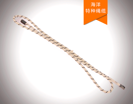 深海潛標數(shù)據(jù)實時傳輸繩纜