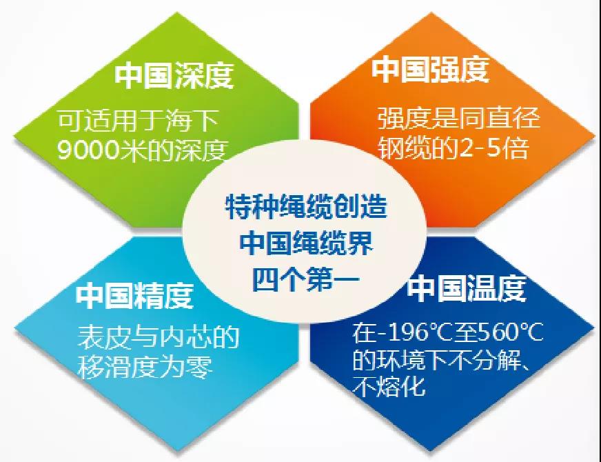 海麗雅集團(tuán)