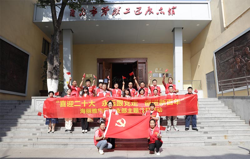 海麗雅集團(tuán)