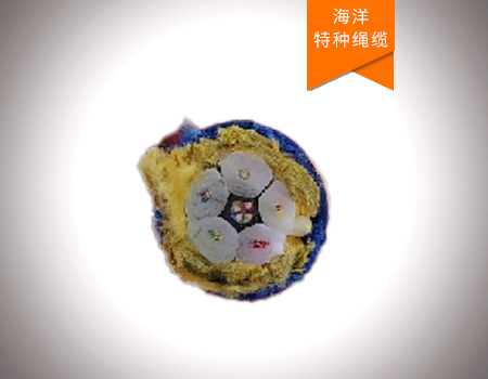 萬(wàn)米海洋絞車(chē)?yán)|繩